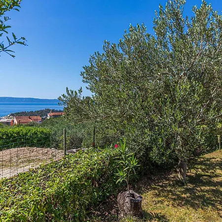 Apartment Cozy In With Wifi - Csc851 Makarska