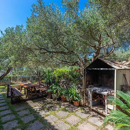 Cozy In With Wifi - Csc851 *